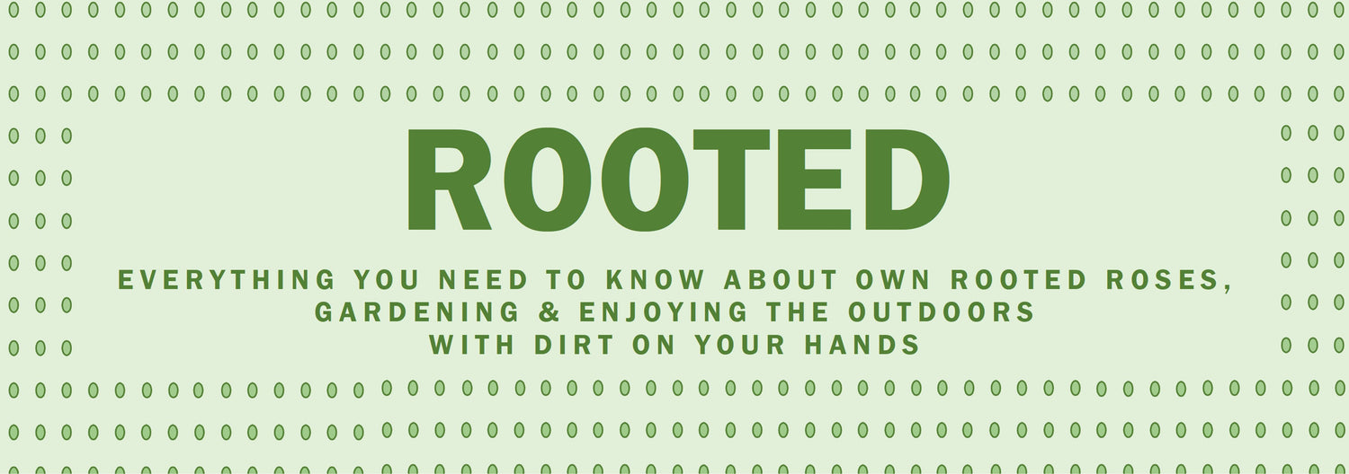 Rooted!!   Edition 1 of the Eureka Plants newsletter!