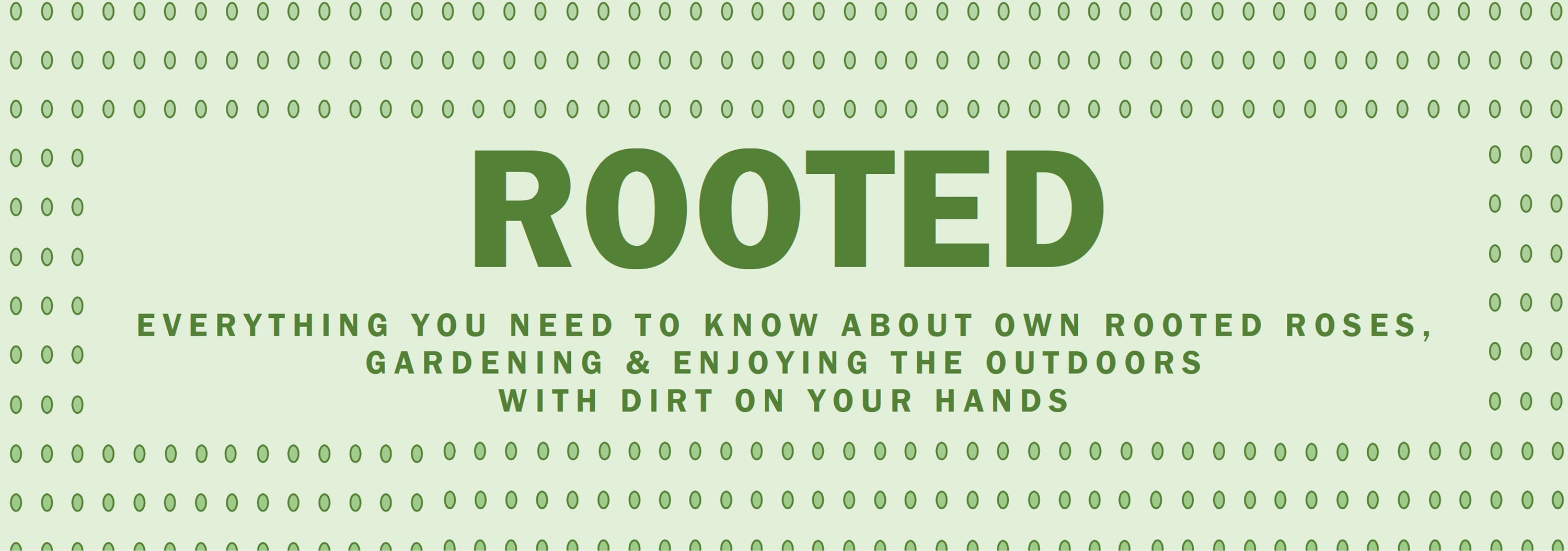 Rooted!!   Edition 1 of the Eureka Plants newsletter!